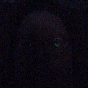 Meet your Posher, Bridget